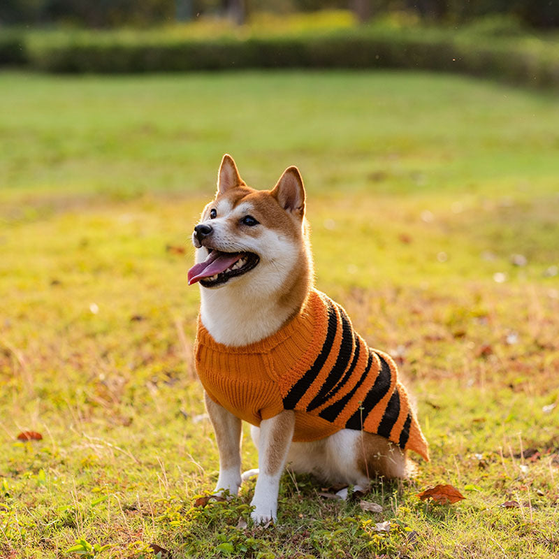 Halloween Dog Sweaters Pet Costume Teddy Warm Leisure Sweater Cosplay Clothes For Dogs Pets Outfits