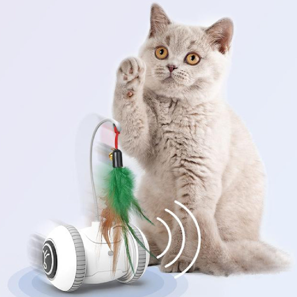 Interactive Cat Toy With Interchangeable Heads  Pet Feather Toys